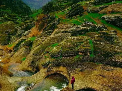 لرستان سرسبز